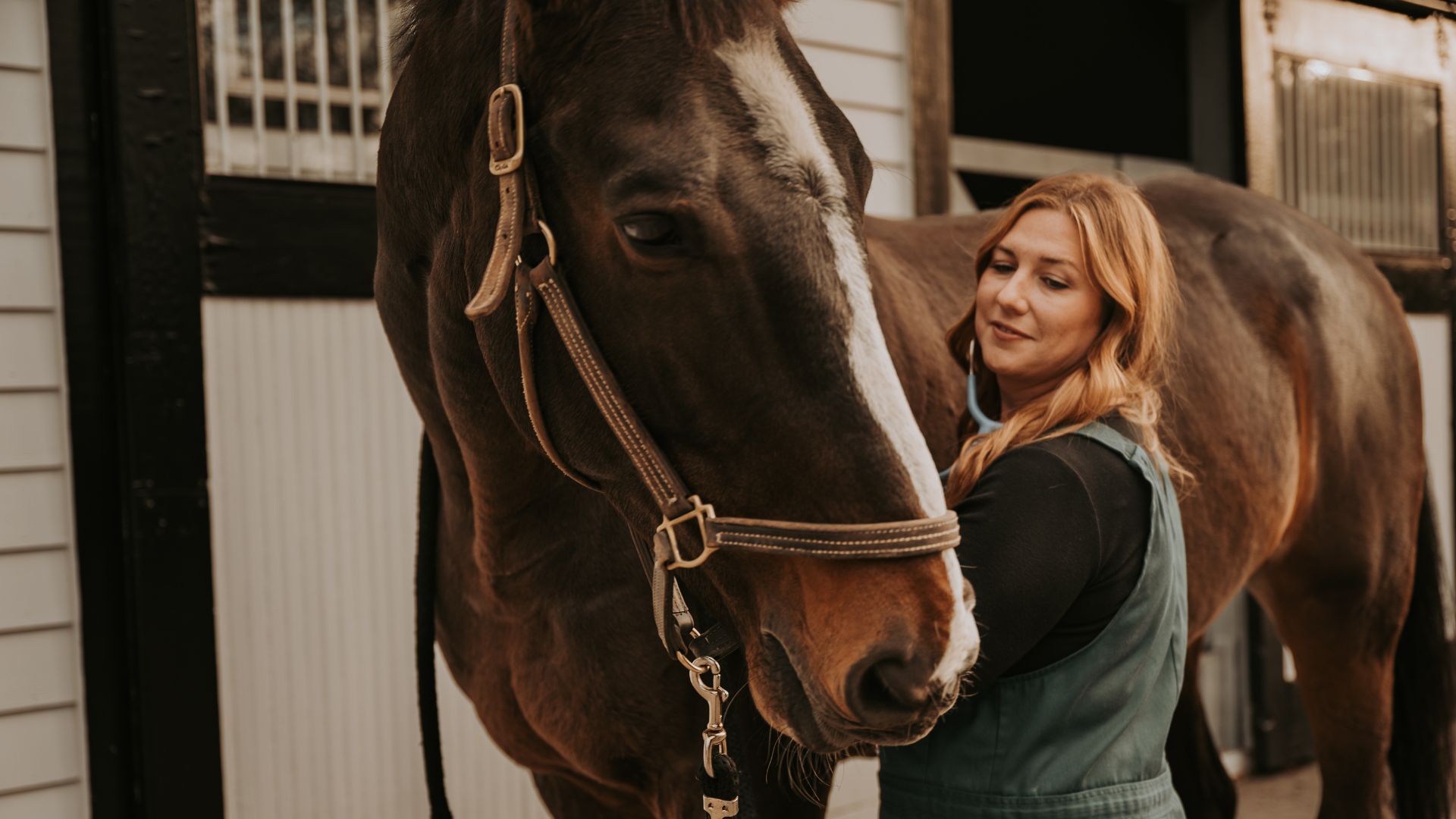 Livestock And Equine Care In KY 40324 Commonwealth