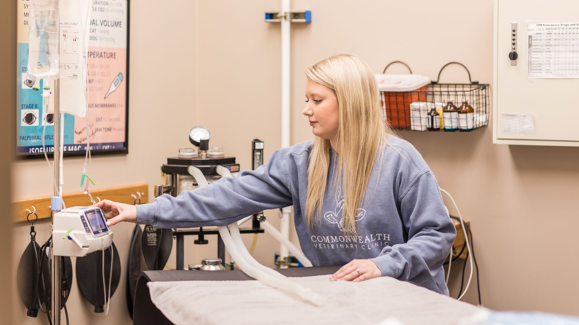 Pet Surgery And Dentistry In KY 40324 Commonwealth