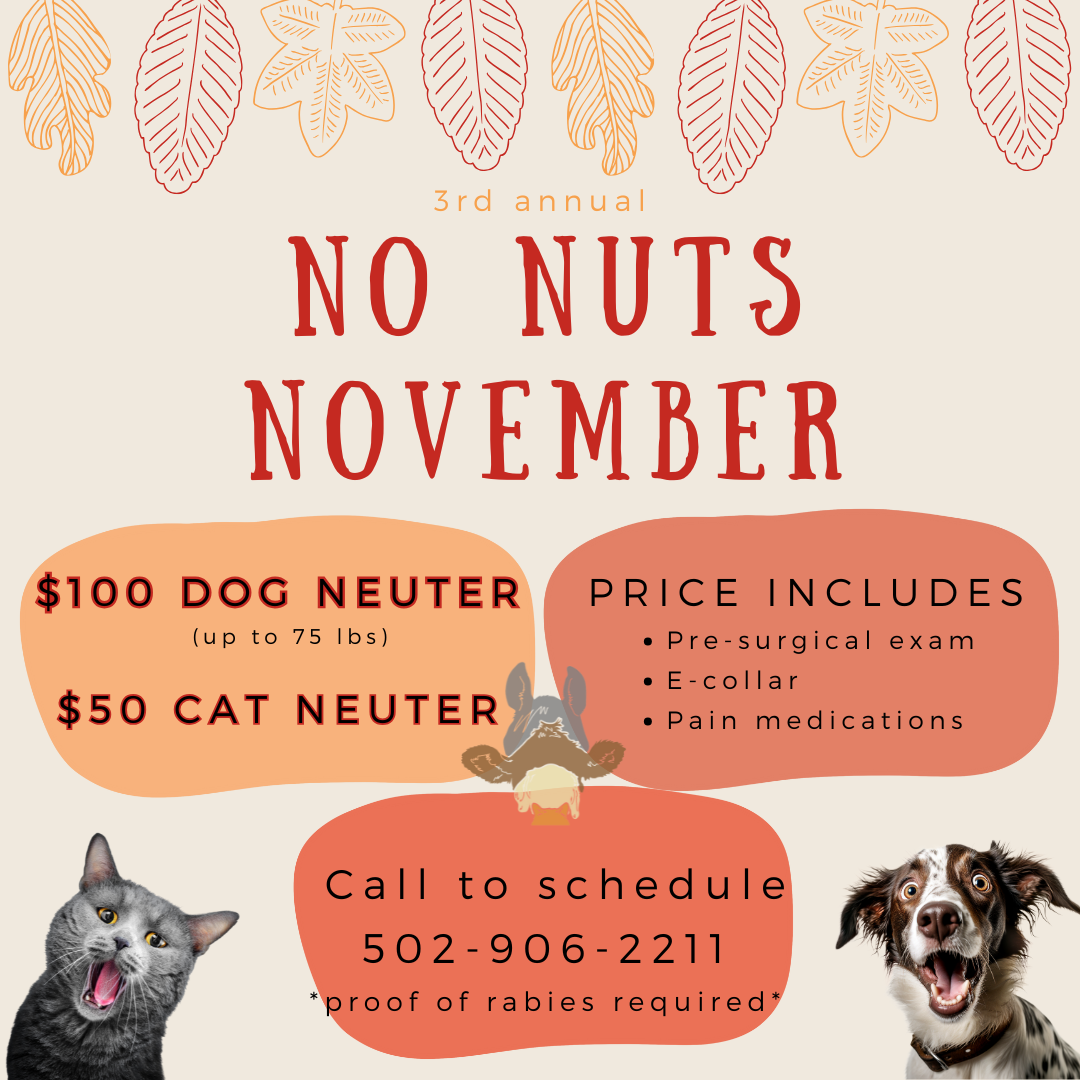 No nuts November promo